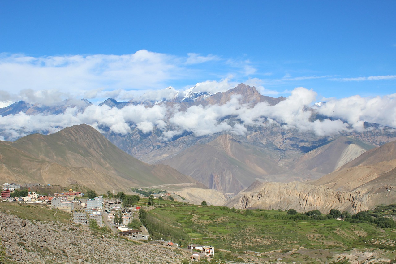 Mustang Kingdom